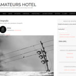diseño web amateurshotel